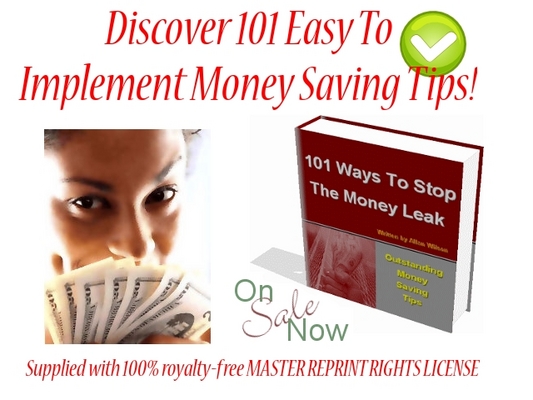 Product picture 101 Ways To Stop The Money Leak