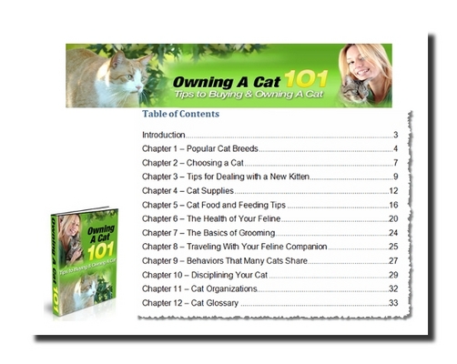 Product picture Buying and Owning a Cat