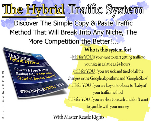 Product picture The Traffic Hybrid System 